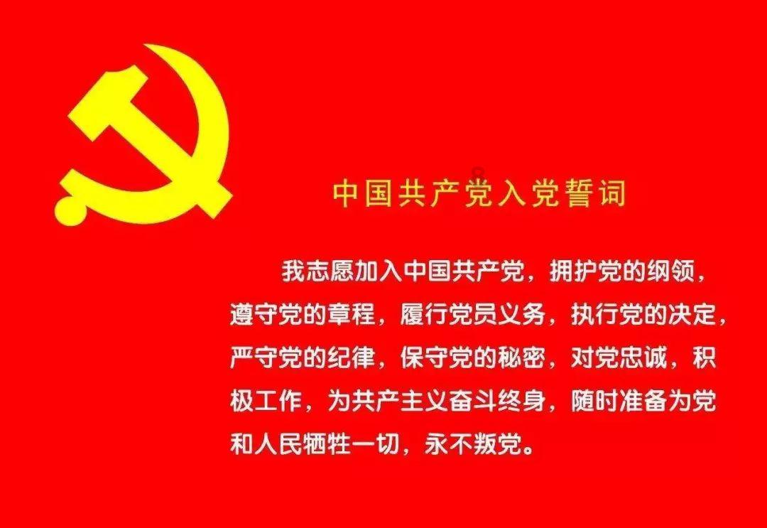 救援有趣的狮子