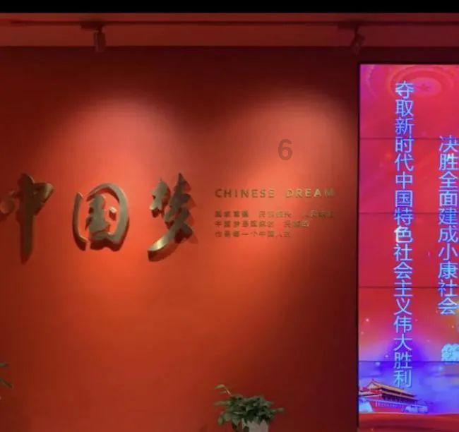 除了常见的德牧、马犬、拉布拉多……这些小众工作犬你可能不知道