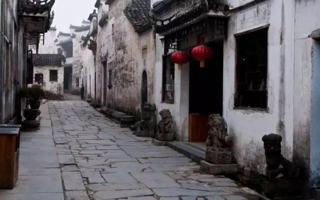 枸杞和它一起泡,坚持每天喝,排净肝毒,帮助身体“大扫除”